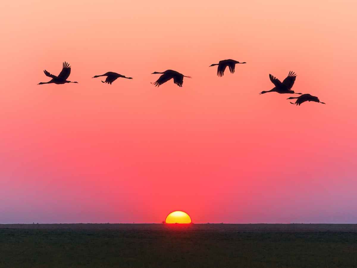 Bird by Bird: Some Instructions on Writing and&nbsp;Life